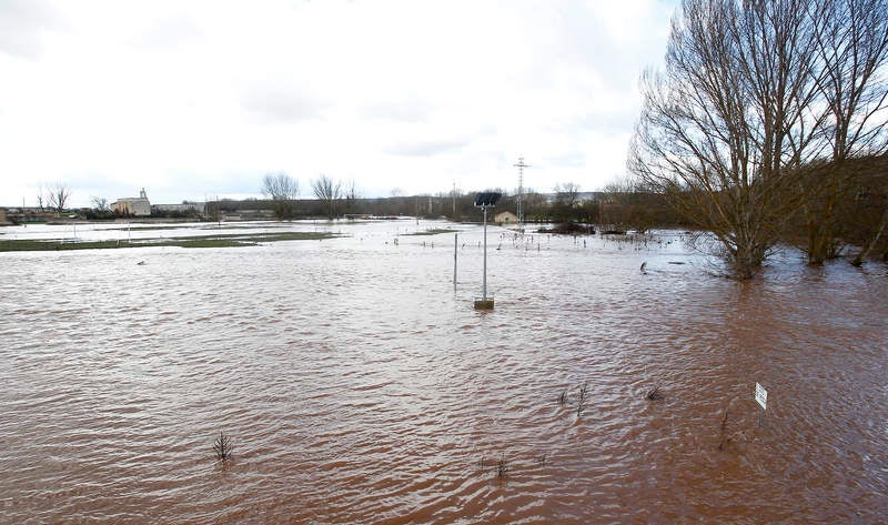 Desbordamiento del río Arlanza a su paso por Palenzuela (Palencia)