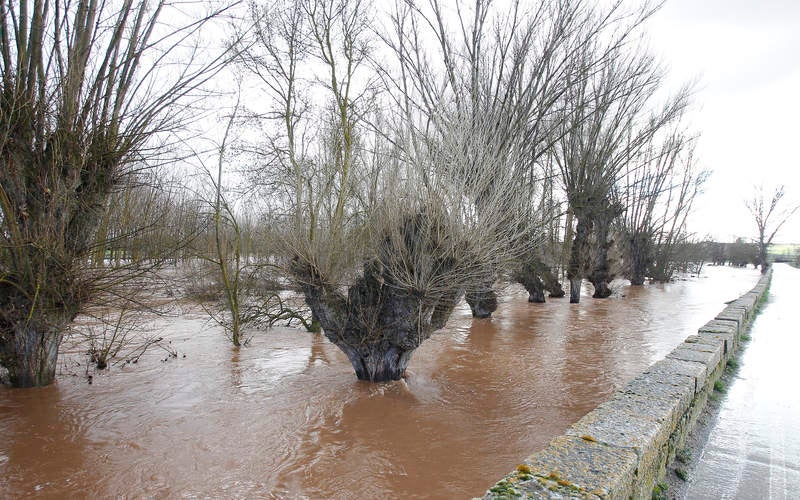 Desbordamiento del río Arlanza a su paso por Palenzuela (Palencia)