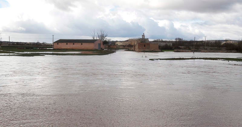 Desbordamiento del río Arlanza a su paso por Palenzuela (Palencia)