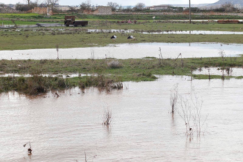 Desbordamiento del río Arlanza a su paso por Palenzuela (Palencia)