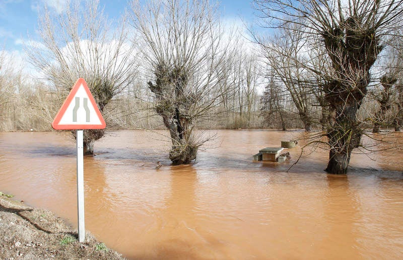 Desbordamiento del río Arlanza a su paso por Palenzuela (Palencia)