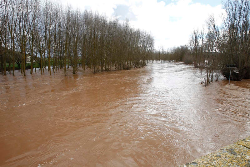 Desbordamiento del río Arlanza a su paso por Palenzuela (Palencia)