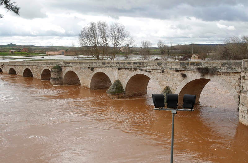 Desbordamiento del río Arlanza a su paso por Palenzuela (Palencia)