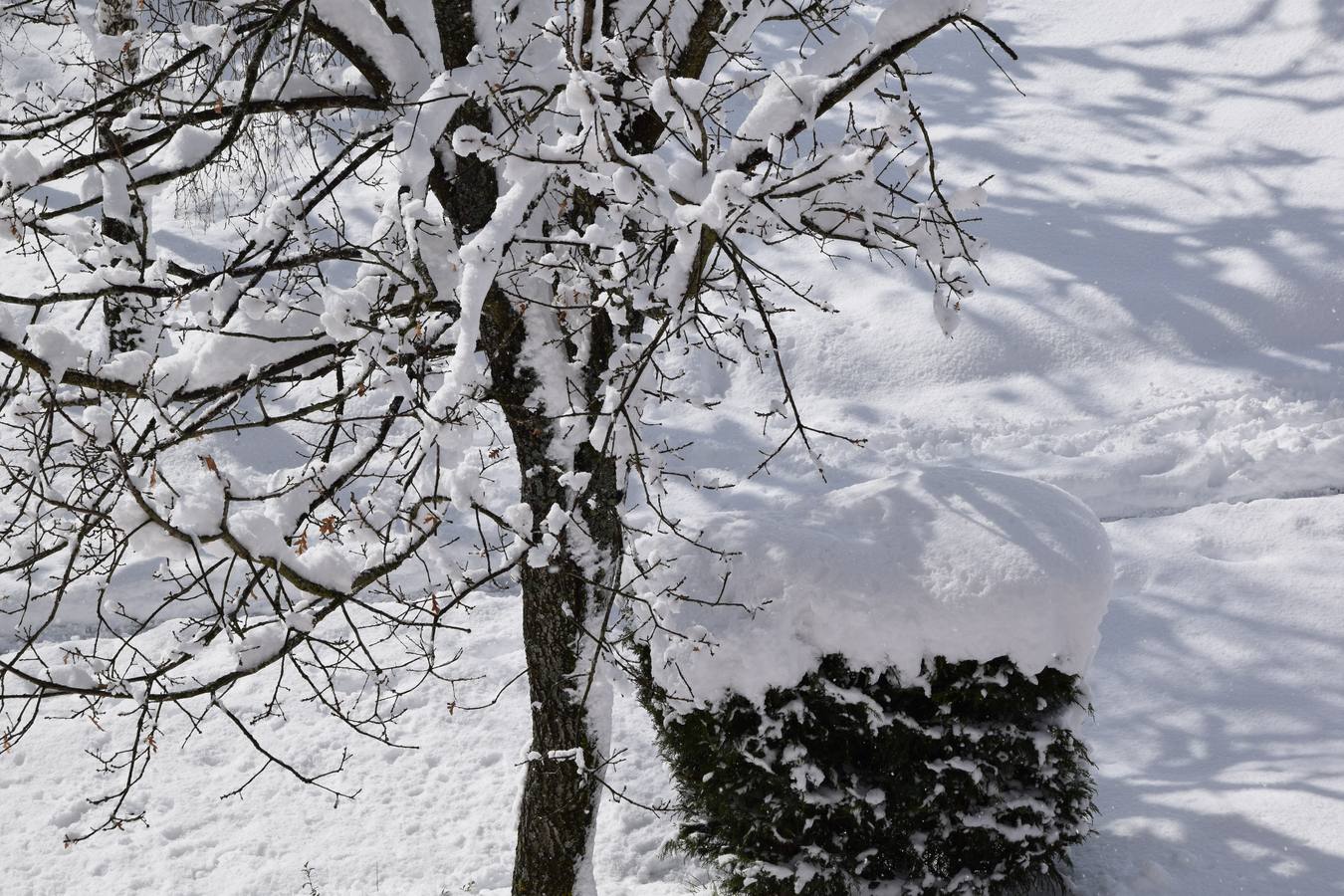 Nieve en Guardo (Palencia)