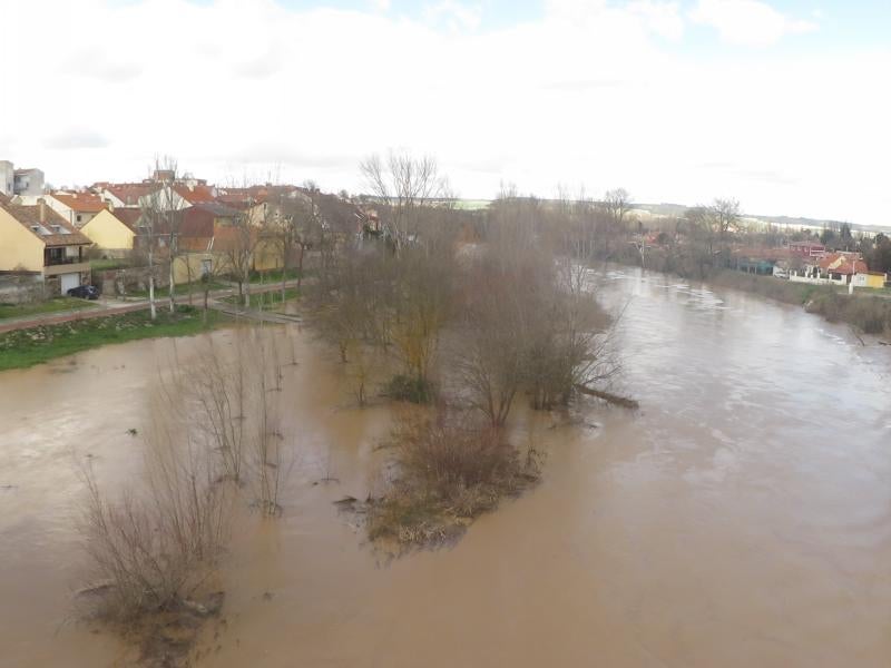 Río Duero en Tudela.
