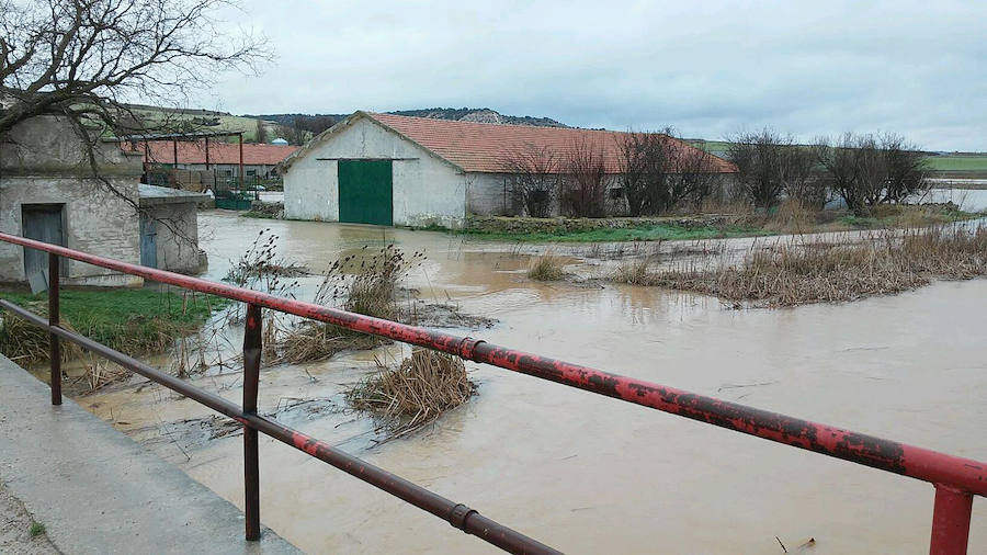 Río Esgueva en Villanueva de los Infantes.