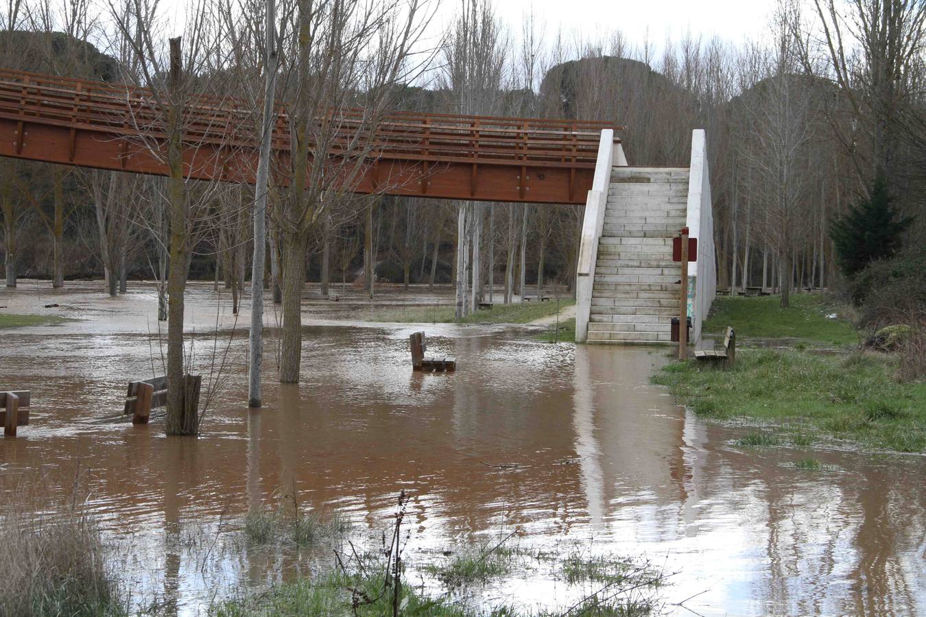 Pesquera de Duero.