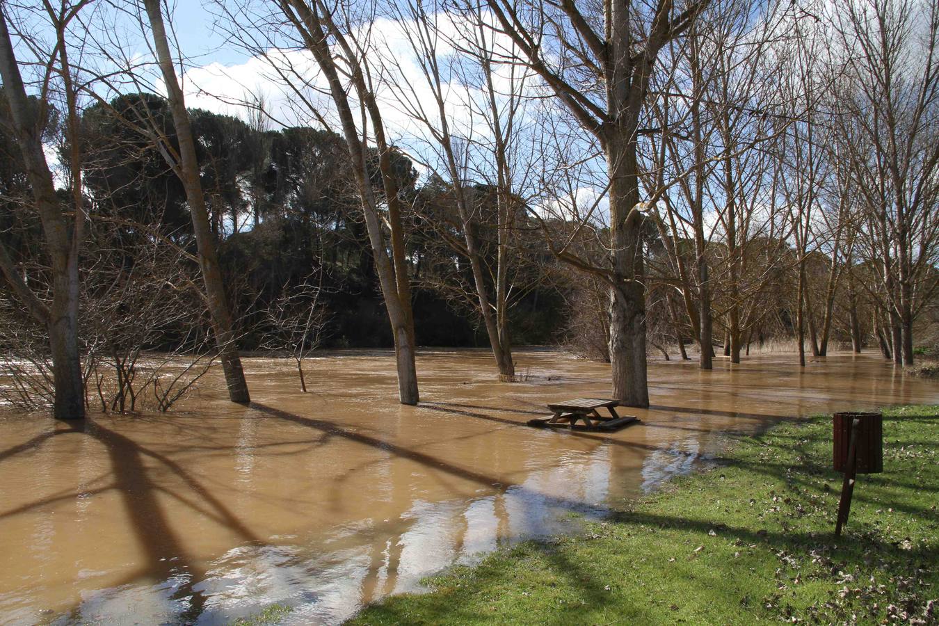 Pesquera de Duero.