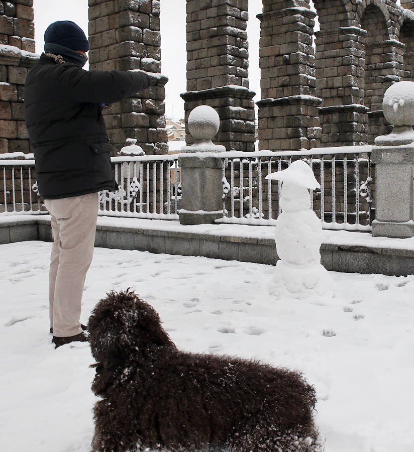 Segovia cubierta por la nieve (1/2)