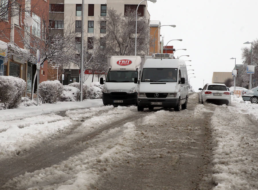 Segovia cubierta por la nieve (1/2)