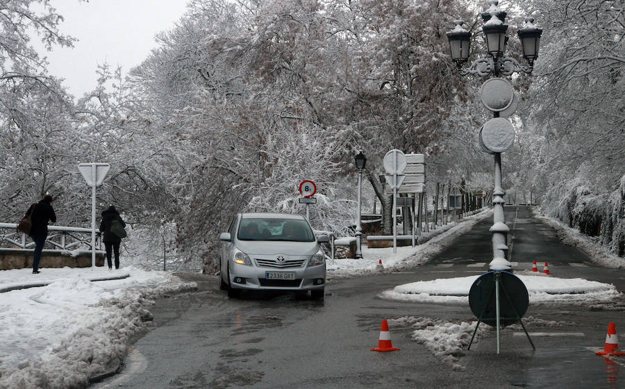 Segovia cubierta por la nieve (2/2)