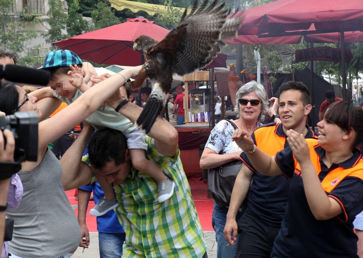 Visita virtual a la exposición &#039;Un año en imágenes 2015&#039; de Segovia (2/2)