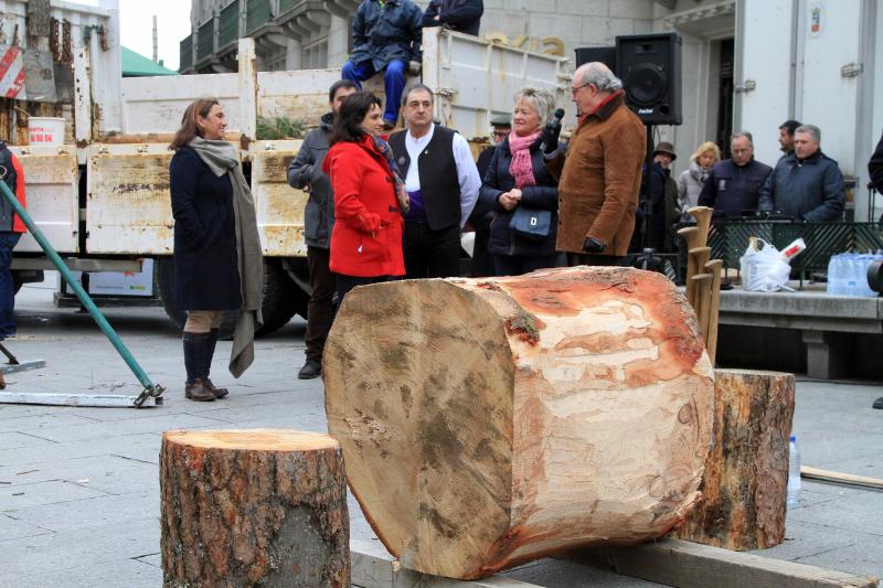 Fiesta de los gabarreros en Segovia
