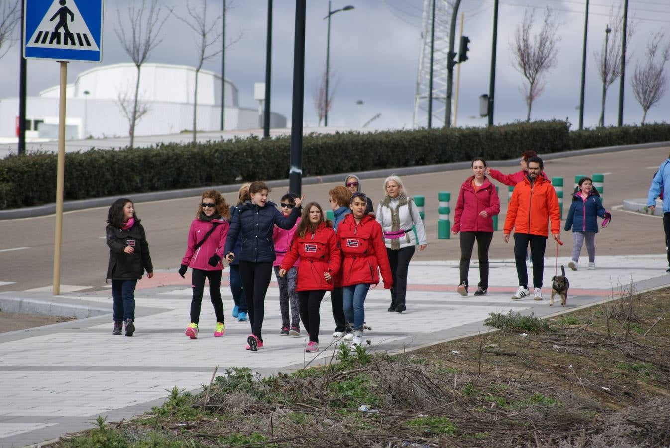 V Marcha Contra el Cáncer de Arroyo de la Encomienda (1/3)