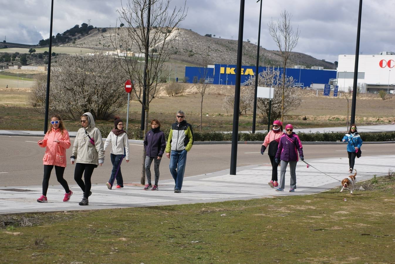 V Marcha Contra el Cáncer de Arroyo de la Encomienda (1/3)