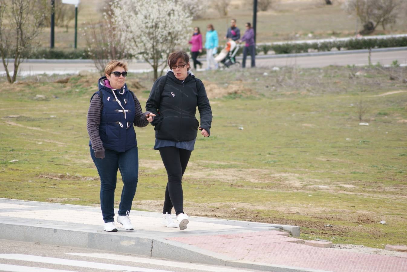 V Marcha Contra el Cáncer de Arroyo de la Encomienda (1/3)