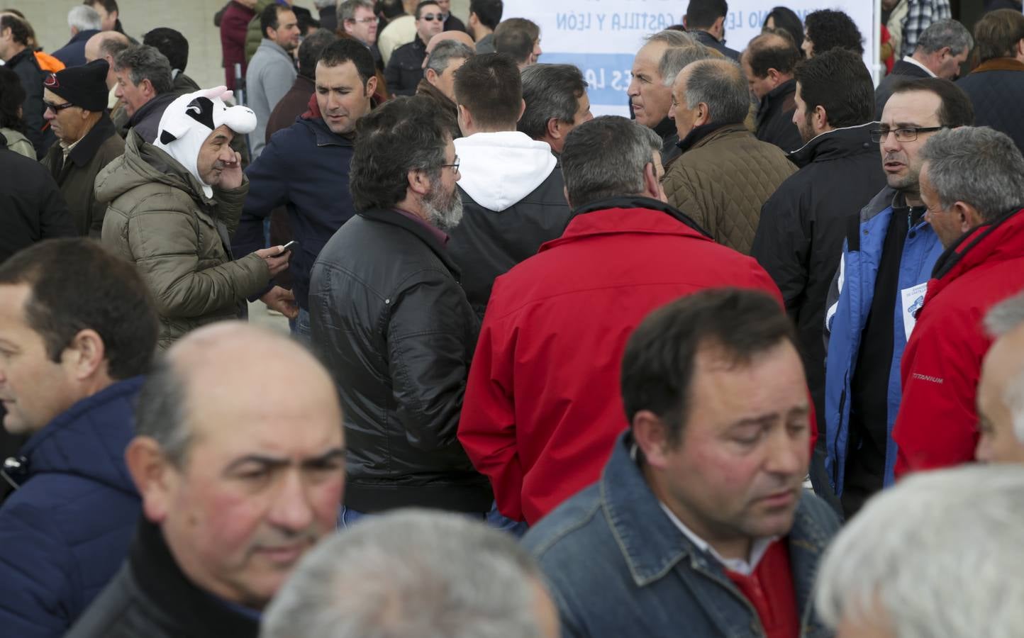 Protesta de ganaderos a las puertas de las Cortes de Castilla y León por la crisis del sector lácteo