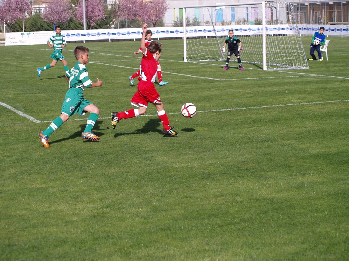 Íscar Cup 2015 (1/2)