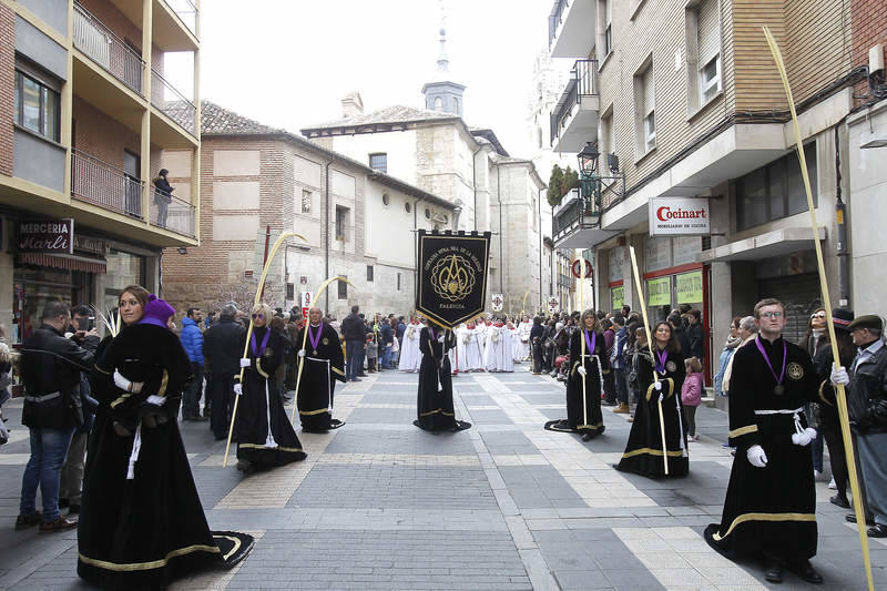 Procesión de las Palmas en Palencia (1/2)