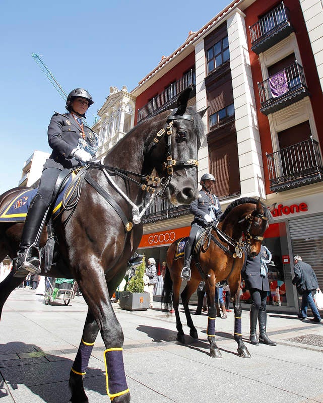 Procesión del Indulto en Palencia (1/2)