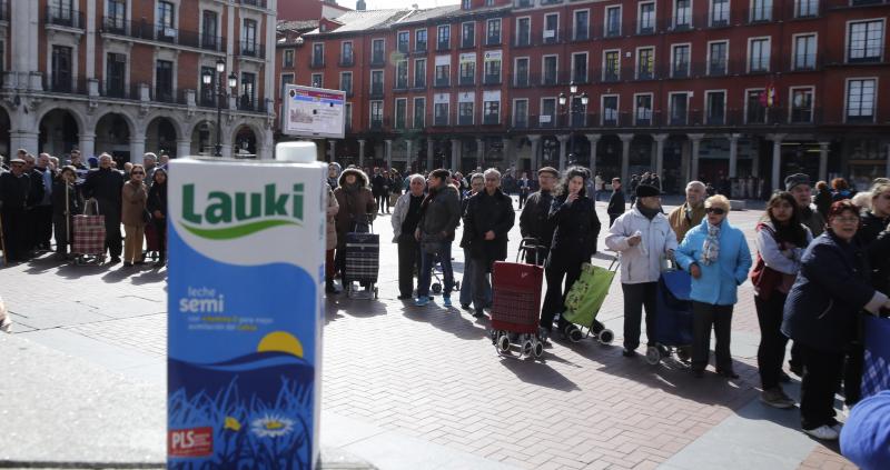 Trabajadores de Lauki reparten 2.000 litros de leche en la Plaza Mayor de Valladolid en protesta por el cierre de la planta