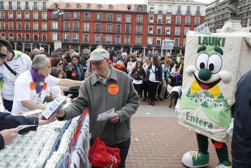 Trabajadores de Lauki reparten 2.000 litros de leche en la Plaza Mayor de Valladolid en protesta por el cierre de la planta