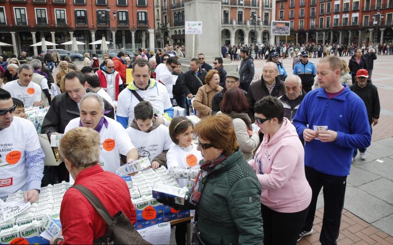 Trabajadores de Lauki reparten 2.000 litros de leche en la Plaza Mayor de Valladolid en protesta por el cierre de la planta