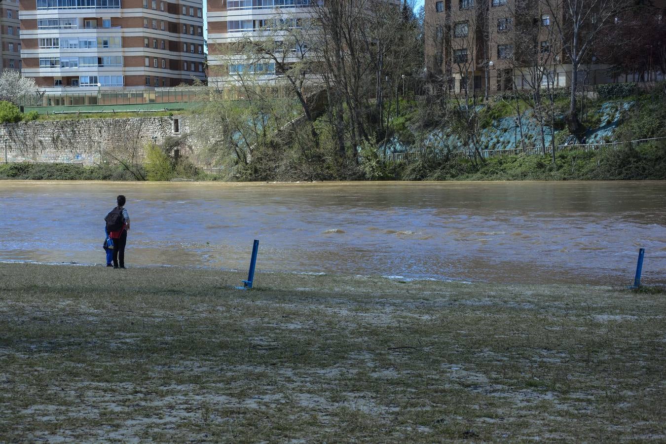 Crecida del Pisuerga a su paso por Valladolid (2/2)