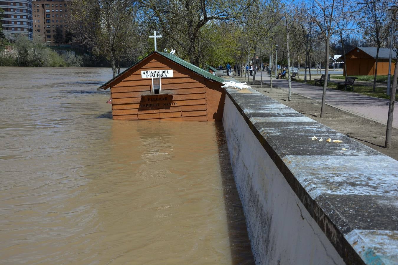 Crecida del Pisuerga a su paso por Valladolid (2/2)