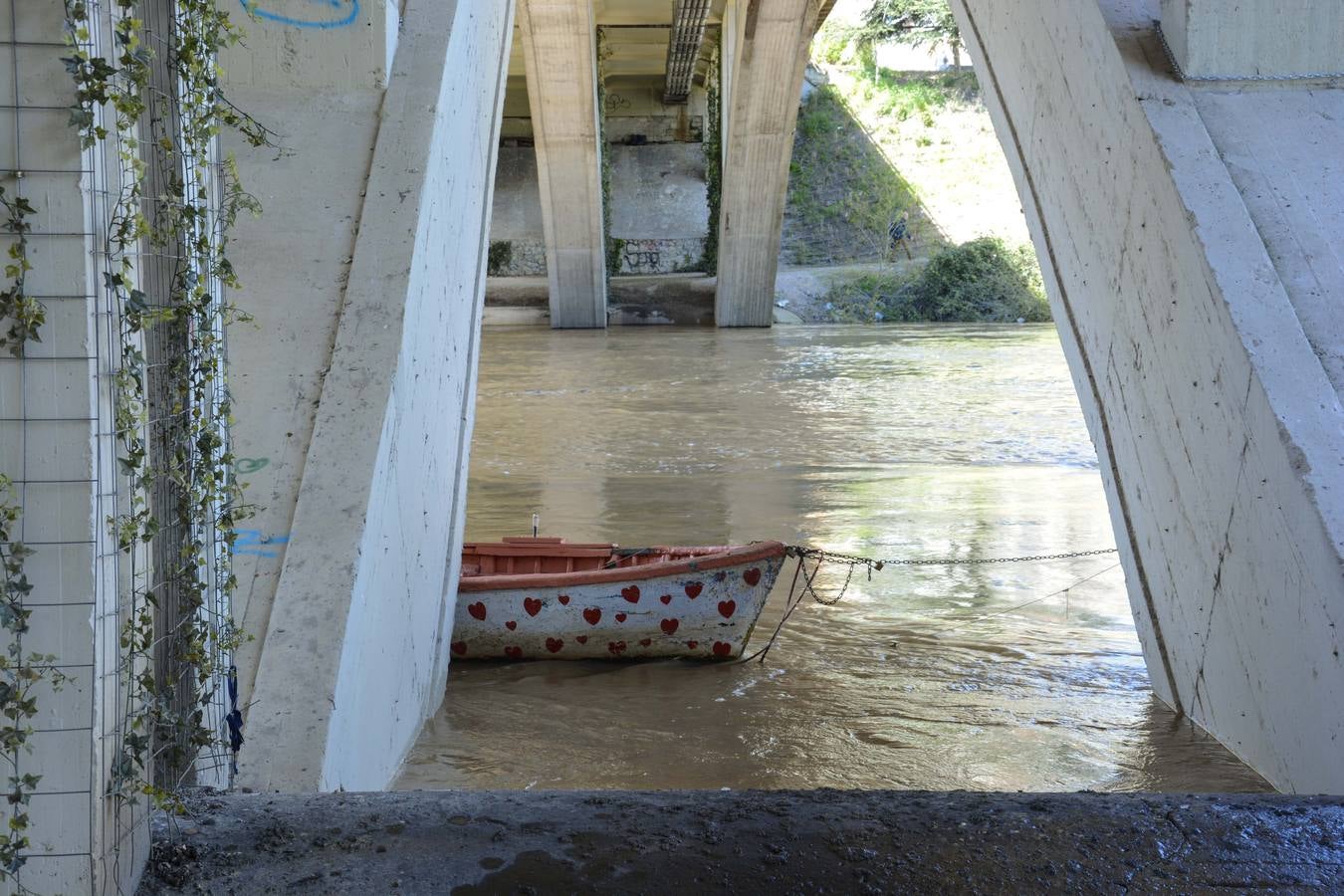 Crecida del Pisuerga a su paso por Valladolid (2/2)