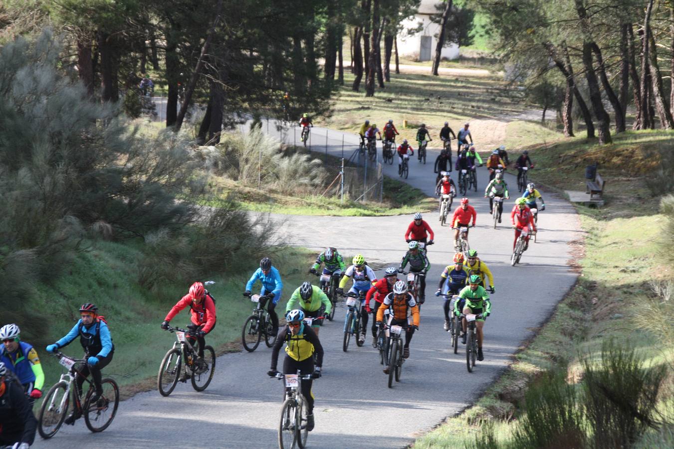 Octava edición de la marcha cicloturista Navabike