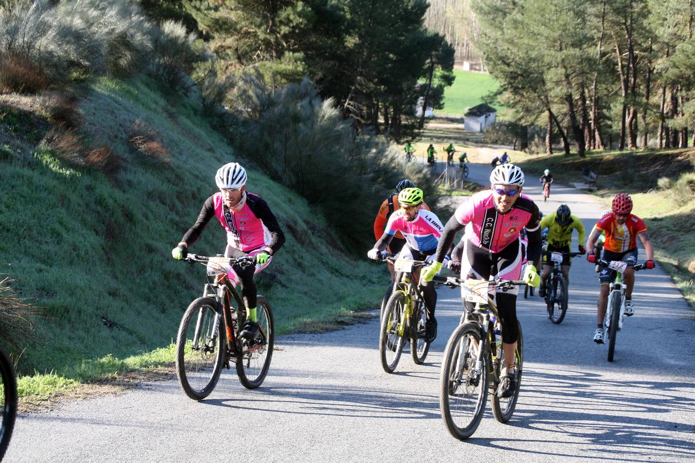 Octava edición de la marcha cicloturista Navabike