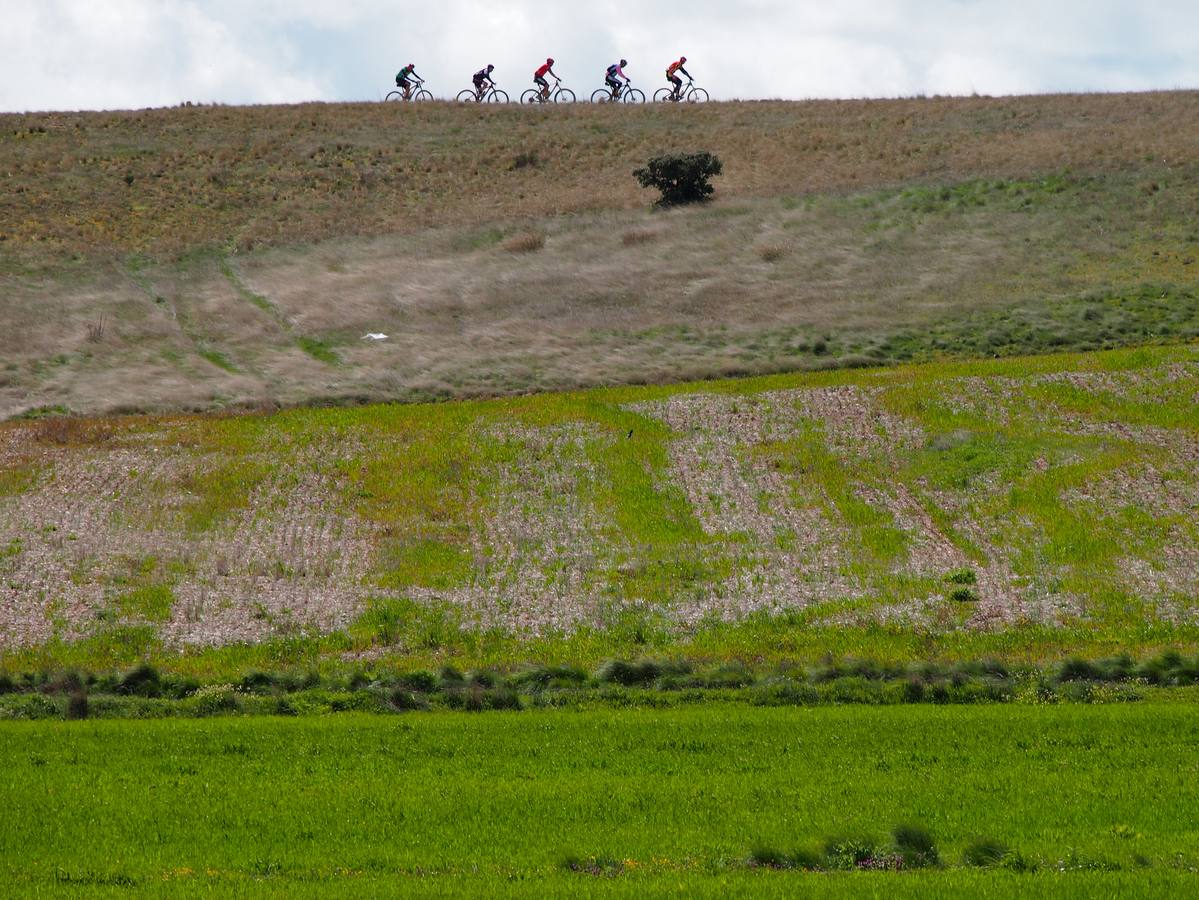 Octava edición de la marcha cicloturista Navabike