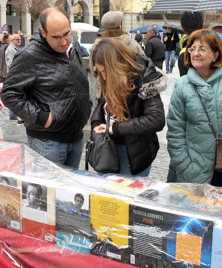 Día del Libro en Segovia