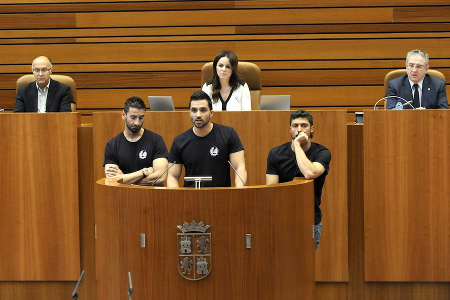 Castilla y León, tierra de acogida