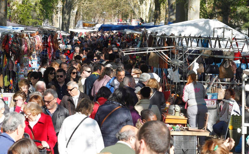 Romería de San Marcos en Palencia (2/2)