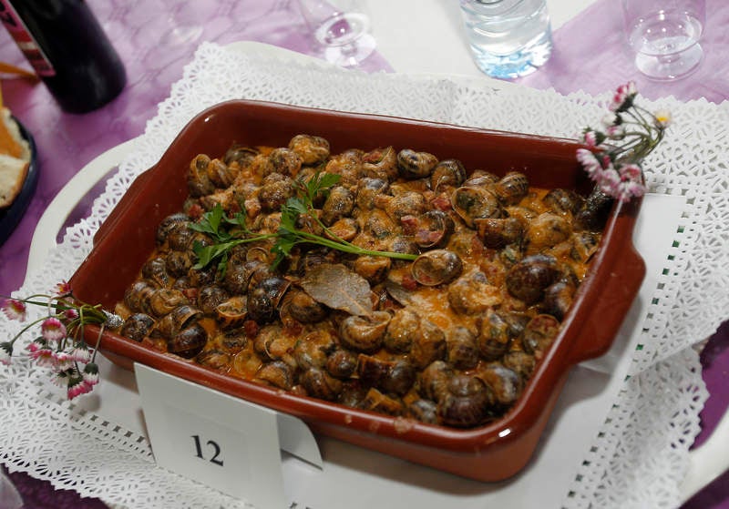 Romería de San Marcos en Palencia (2/2)