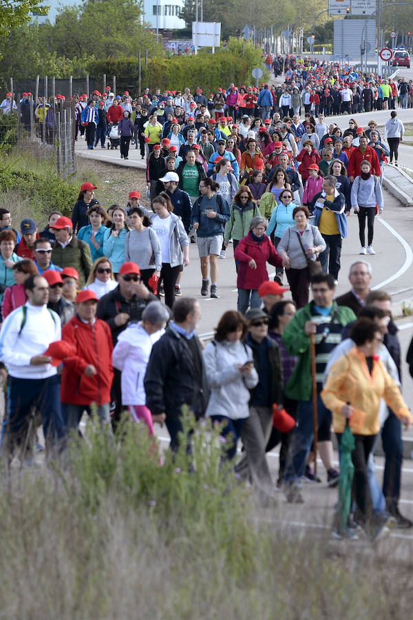 XXXIX edición de la Marcha de Asprona (2/2)