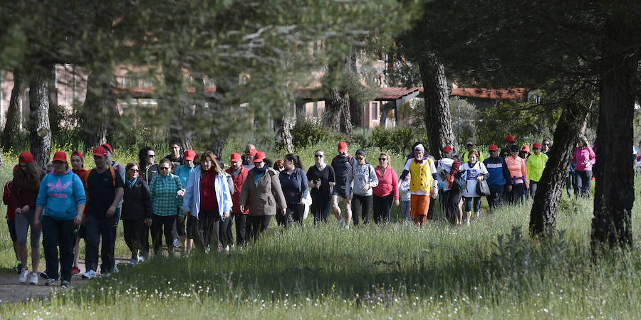 XXXIX edición de la Marcha de Asprona (2/2)