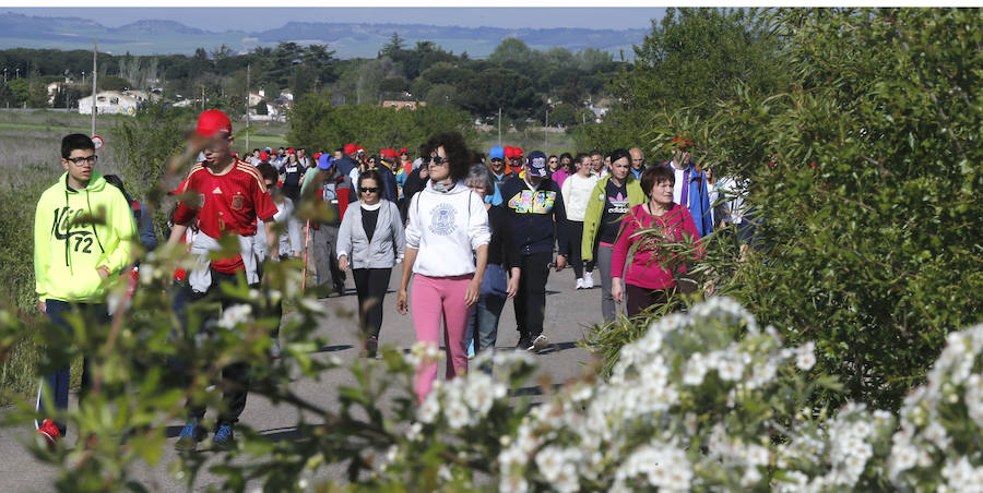 XXXIX edición de la Marcha de Asprona (2/2)