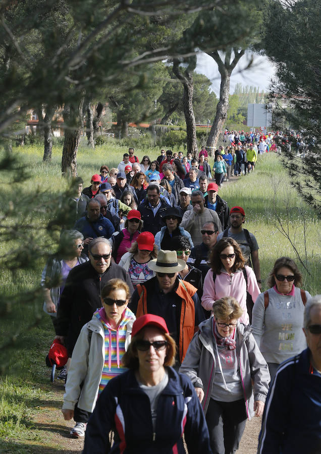 XXXIX edición de la Marcha de Asprona (1/2)
