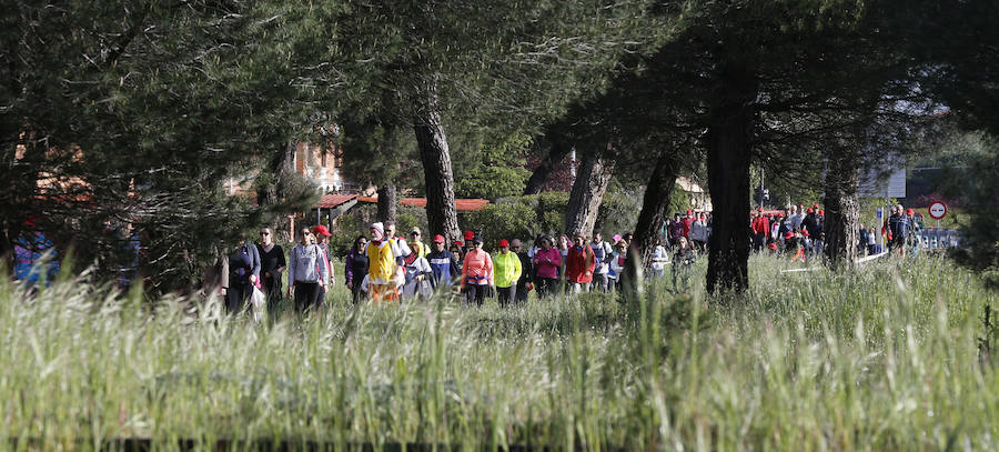 XXXIX edición de la Marcha de Asprona (1/2)