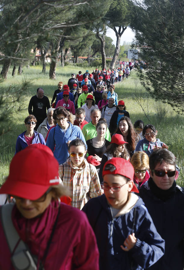 XXXIX edición de la Marcha de Asprona (1/2)