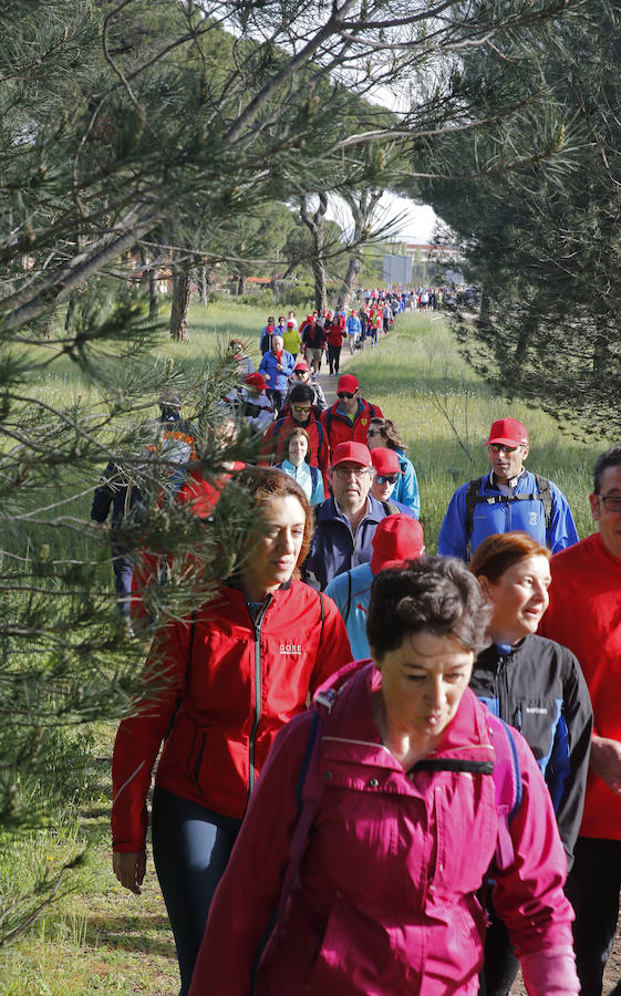 XXXIX edición de la Marcha de Asprona (1/2)