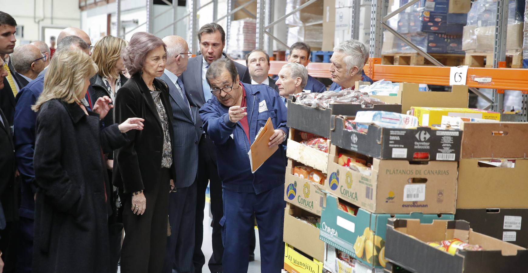 07.04.16 La Reina Sofia visita las naves del Banco de Alimentos de Valladolid. En la imagen, un voluntario explica a la Reina Sofía la gestión de las frutas que llegan al Banco de Alimentos, en presencia de Óscar Puente.