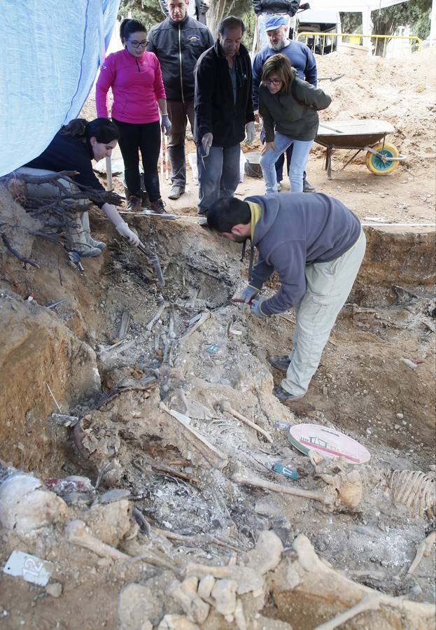 Trabajos de exhumación en una fosa común del Cementerio de El Carmen