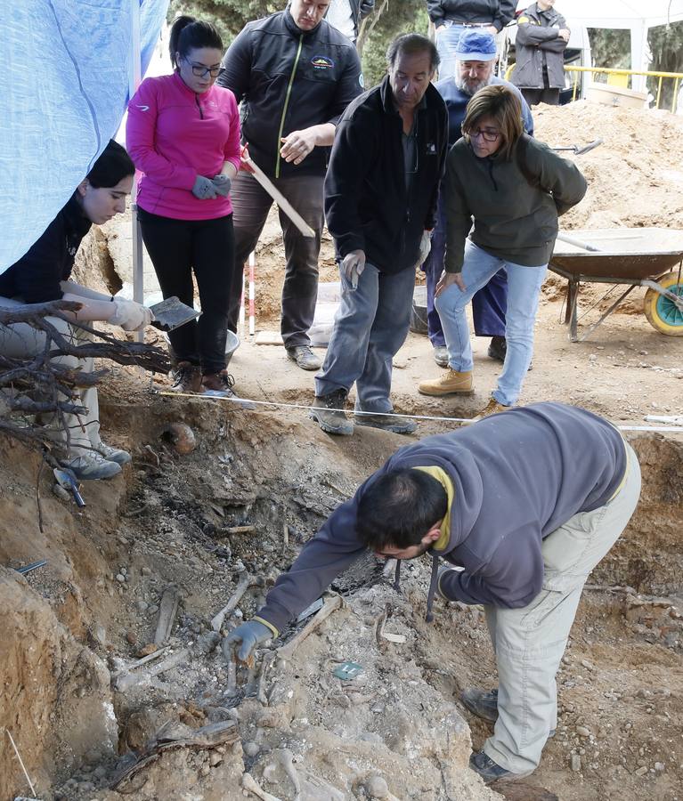 Trabajos de exhumación en una fosa común del Cementerio de El Carmen