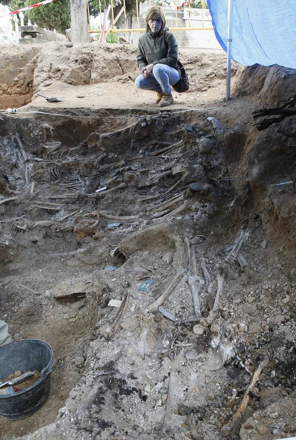 Trabajos de exhumación en una fosa común del Cementerio de El Carmen