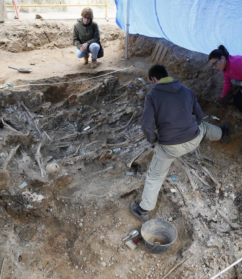 Trabajos de exhumación en una fosa común del Cementerio de El Carmen