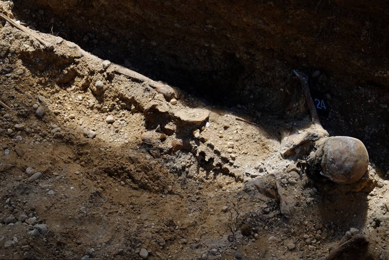 Trabajos de exhumación en una fosa común del Cementerio de El Carmen